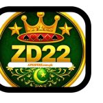 ZD22 game